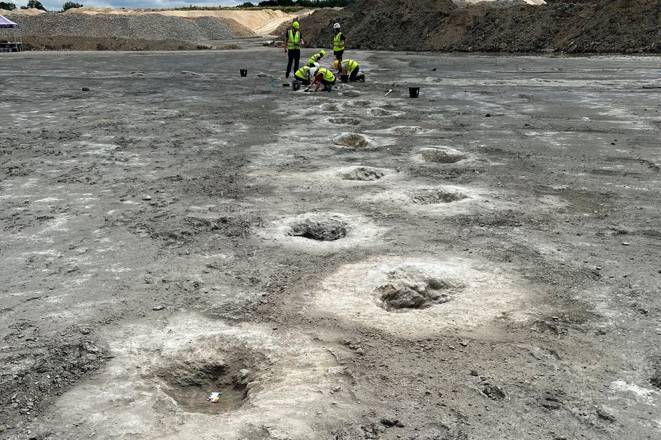 The dinosaur 'highway'. Photo:  Emma Nicholls/University of Birmingham